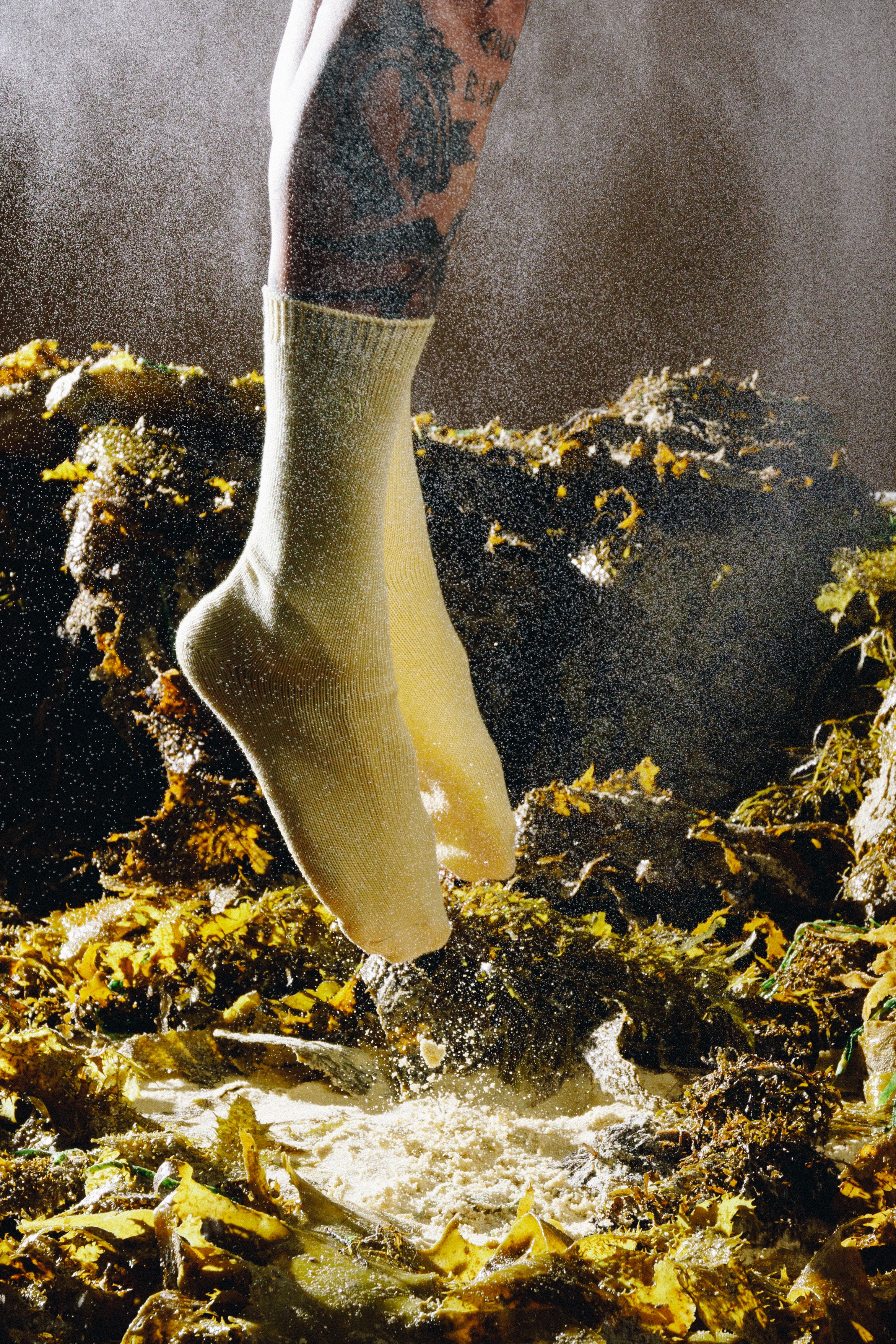 Slide image